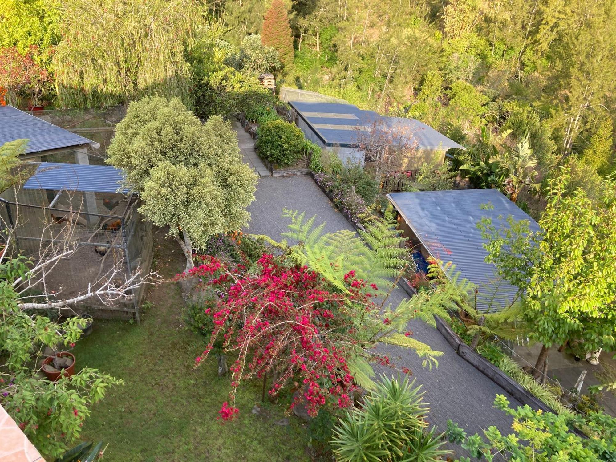 Les Begonias Villa Cilaos Exterior foto